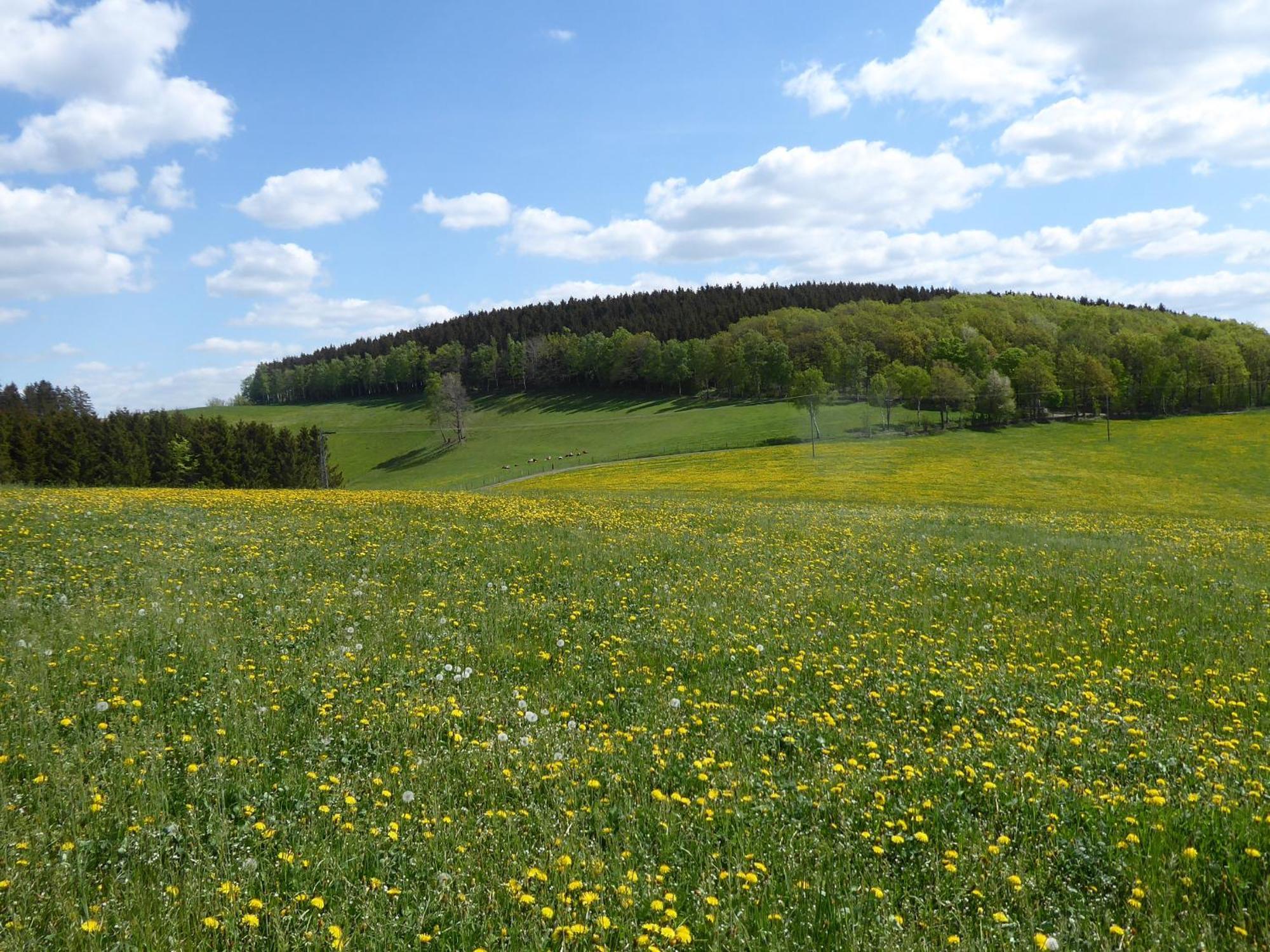 Ferienwohnungen Schimsheimer Rhode Olpe Luaran gambar